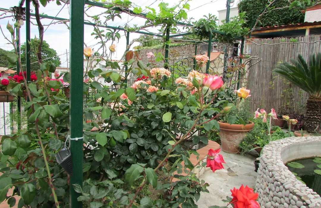Casa Palazzo a Mare-1