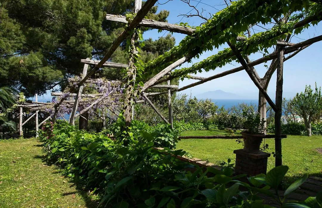Capri Tiberio'S Dream-1